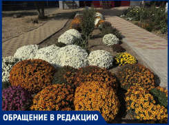 «Частники украшают Волгодонск лучше городских служб?»: жительница восхитилась клумбой на Строителей