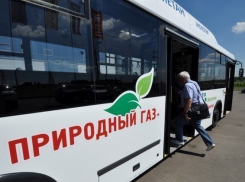 10% общественного транспорта Волгодонска планируют перевести на газ 