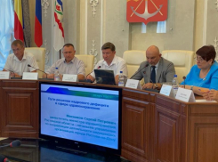 Пора «кошмарить» частные медцентры: власти Волгодонска и региона предложили радикальные меры выхода из кризиса в медицине