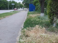 В Волгодонске выкосили 12 гектаров травы