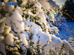 Сильный ветер и снег с дождем ожидается сегодня в Волгодонске 