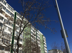 +11 и холодный ветер: О погоде на 14 апреля 