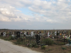 14 апреля в Волгодонске приступят к противоклещевой обработке кладбищ