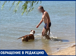 Человек с бойцовской собакой вызвал панику на городском пляже Волгодонска