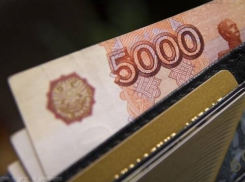 Новый прожиточный минимум определили власти донского региона