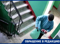 «Клептоманы одолели»: волгодончанка не справилась с искушением и прибрала себе статуэтку Деда Мороза из подъезда