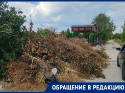 «Из-за огромных гор мусора уже к могилам не проедешь»: волгодонцы о кладбище №2