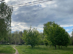 С пасмурной и дождливой погоды начнется короткая рабочая неделя в Волгодонске