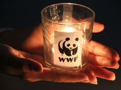 Волгодонцам предлагают принять участие в символической, но самой масштабной акции планеты