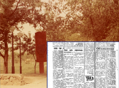 Пройти тест «на женщину» и узнать секреты картофелеводов предлагали волгодонцам в 80-х