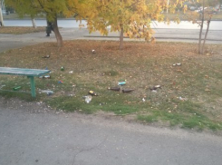 «Свинарник в самом центре города» - жители Волгодонска требуют установить урны возле ДК имени Курчатова
