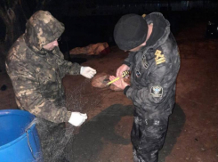 За противозаконную рыбалку полицейские Волгодонска задержали браконьера 