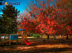 Солнечная безветренная погода ожидается в Волгодонске 8 ноября