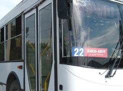 Стоимость проезда в общественном транспорте Волгодонска скоро повысят