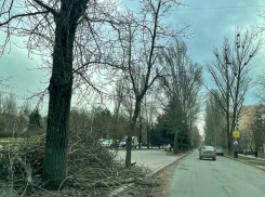 Решайте сами: лишь от волгодонцев зависит, появится ли в городе красивый современный и благоустроенный уголок