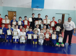 Открытый кубок по самбо провела в Волгодонске Федерация дзюдо и самбо