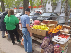 За нелегальную торговлю в Волгодонске областные инспекторы составили с начала года 62 протокола