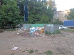 Волгодонск превращается в огромную свалку - читатель