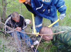 Прикованного цепью к дереву мужчину обнаружили в окрестностях Волгодонска