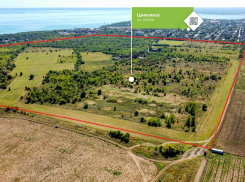 В Дом.РФ отказались от строительства жилья на месте виноградников в Цимлянске