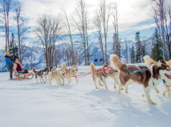 Подарите своим близким путешествие и незабываемые эмоции