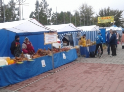 Производители из семи городов и 12 районов области приняли участие в ярмарке «выходного дня» в Волгодонске