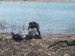  30 августа в Волгодонске состоится большая уборка