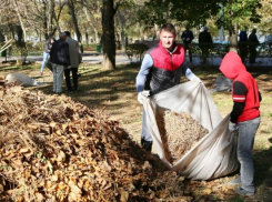  Власти города призывают волгодонцев подключиться к уборке территорий
