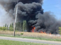 В Волгодонске устроят грандиозный пал сухостоя на берегу залива