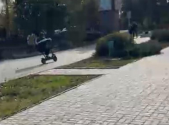 Наглых самокатчиков контролируют знаки: в «Парке Победы» прокомментировали ситуацию с лихачами