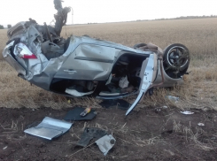 «Рено» превратился в груду металла после ДТП в 20 километрах от Волгодонска