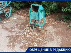 «Окурки и пустые банки вокруг лавочек»: сквер Машиностроителей, по мнению волгодончанки, стал хуже 