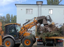 В Волгодонске стартовал осенний месячник чистоты