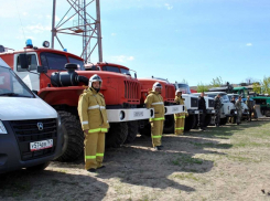 В лесах под Волгодонском введен пожароопасный режим 