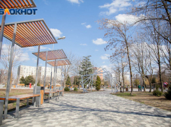 Аттракционы и оригинальное кафе планируют открыть в сквере «Дружба» 