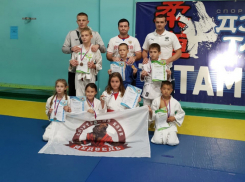 Спортсмены из Волгодонска отличились на первенстве региона по дзюдо