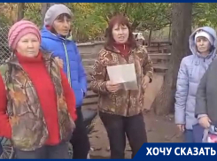 Жили на остановке, а теперь в «приюте»: жители СНТ на добровольной основе содержат десятки бездомных собак