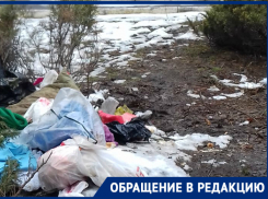 Рядом с памятником чернобыльцам появилось лежбище бомжей