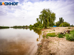 Две волгодончанки едва не погибли на городском пляже в Волгодонске