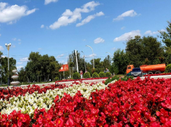 «Тепловые судороги и удары»: аномальная жара не сдает позиции в Волгодонске 