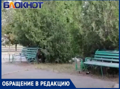 «Урны исчезли, а лавочки загажены блевотиной»: мужчина ужаснулся после возвращения в Волгодонск 