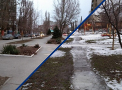 Ленина от «тридцатника» до «полтинника», либо сквер за «Спортмастером»: у волгодонцев спросили, какую территорию привести в порядок