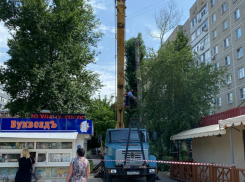 После публикации в «Блокноте» на Энтузиастов спилили опасные сухие деревья 