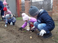 Клумбу цифрой «80» из тюльпанов высадили в Волгодонске