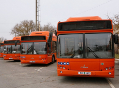 Газ для оранжевых автобусов «Городского пассажирского транспорта» подорожал