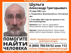 В Ростовской области пропал 73-летний пенсионер Александр Шульга