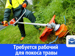 Требуется рабочий для покоса травы