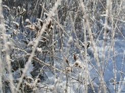 «По ощущениям -27»: сильный мороз и мощный ветер обещают сегодня в Волгодонске 