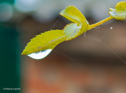Сумрачно и прохладно: о погоде в Волгодонске в четверг