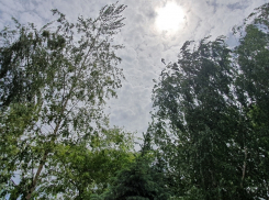 Звук электросирены, прозвучавшей раньше времени, напугал жителей Волгодонска